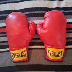 Everlast 14oz Red Leather Boxing Gloves