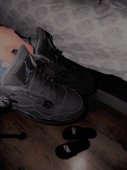 Jordan four black cats