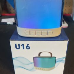 Speaker