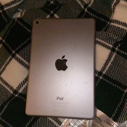 Ipad Five Mini