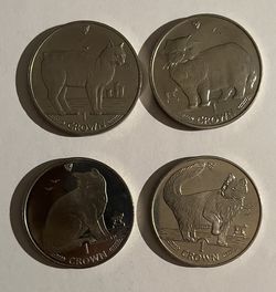 Isle Of Man Cats 1(contact info removed)