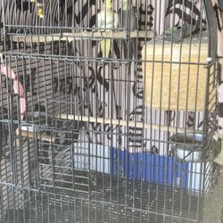 Birds Cage 