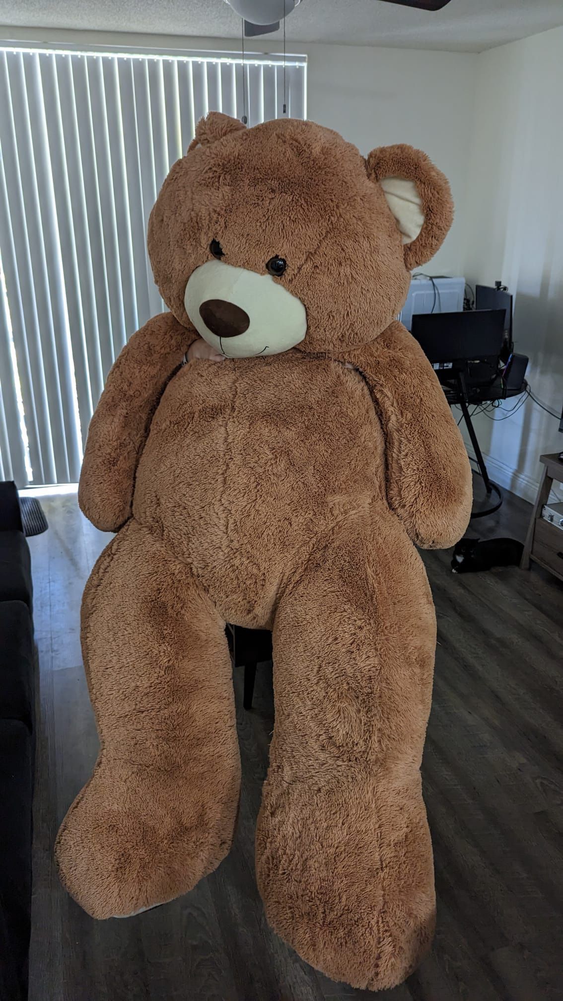 Giant Teddy Bear 🐻