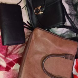 Purses And Wallet 