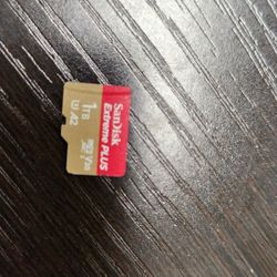 1 Tb Micro SD Card 