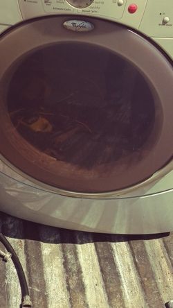 Gas Dryer