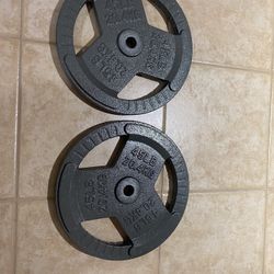 Cast iron 1” 45lb Plates 