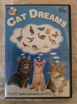 The GoCat "Cat Dreams" DVD