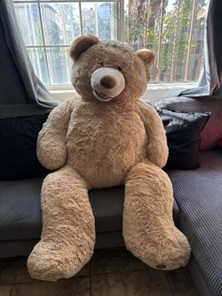 Costco 53inch Bear