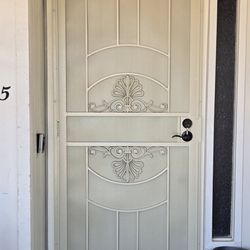 Security Door Heavy-Duty 36x80 Almond (Installation Included)