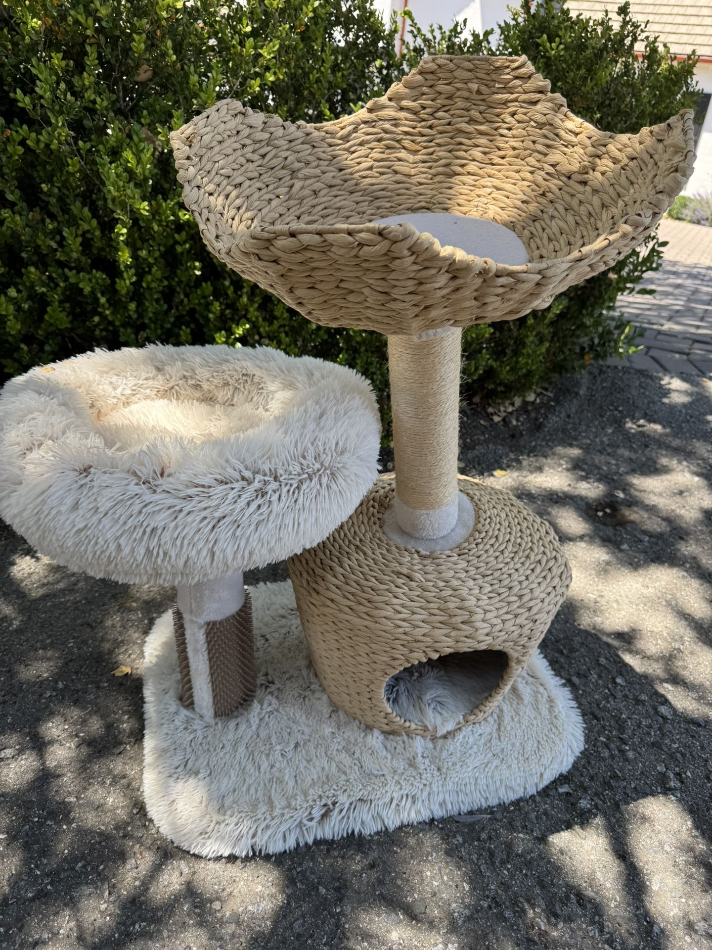 Cat Playground