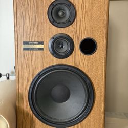 Vintage Pioneer Speakers CS- G204