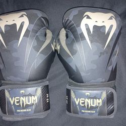 Venum Boxing Gloves 12 oz