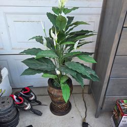 Artificial plant!