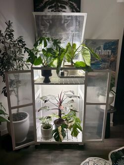 Indoor Plant Greenhouse Cabinet with Grow Light