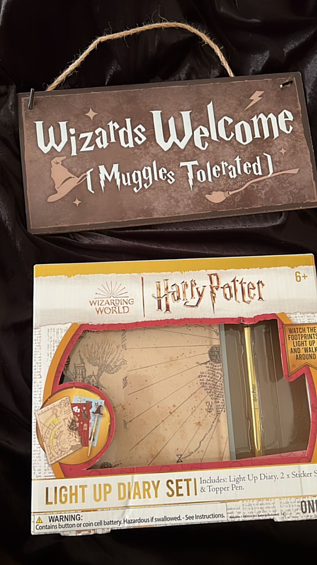 Harry Potter Light Up Diary & Sign