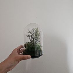 Fake Dome Terranium Plant Ikea