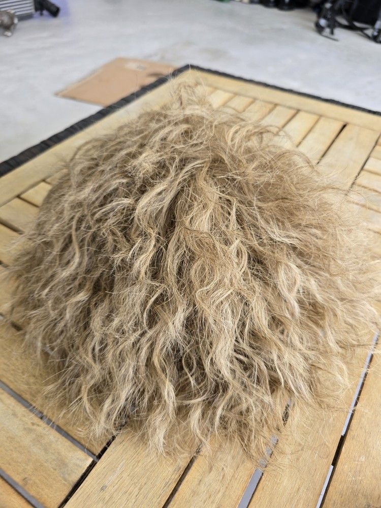 Beetlejuice Wig