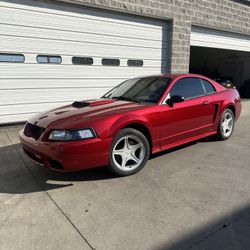2002 Ford Mustang 
