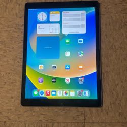 Apple I Pad Prp 12.9 Inch With Case 