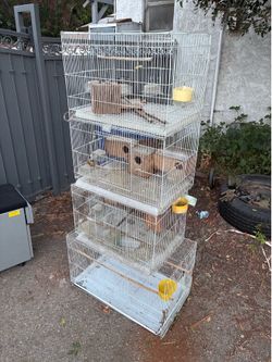 Birdcages