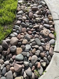Rocks/piedras