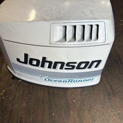 Johnson 150 Cowling 