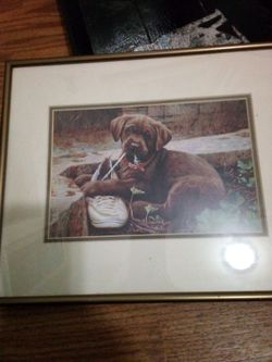 Puppy picture