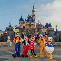 Disneyland 4-pack (One Park) TIER 6