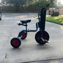 Special Needs Tricycle