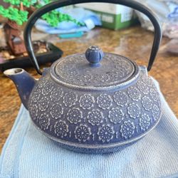 Blue Japanese Cast Iron Teapot 