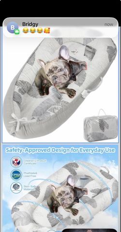 Medium Dog Bed