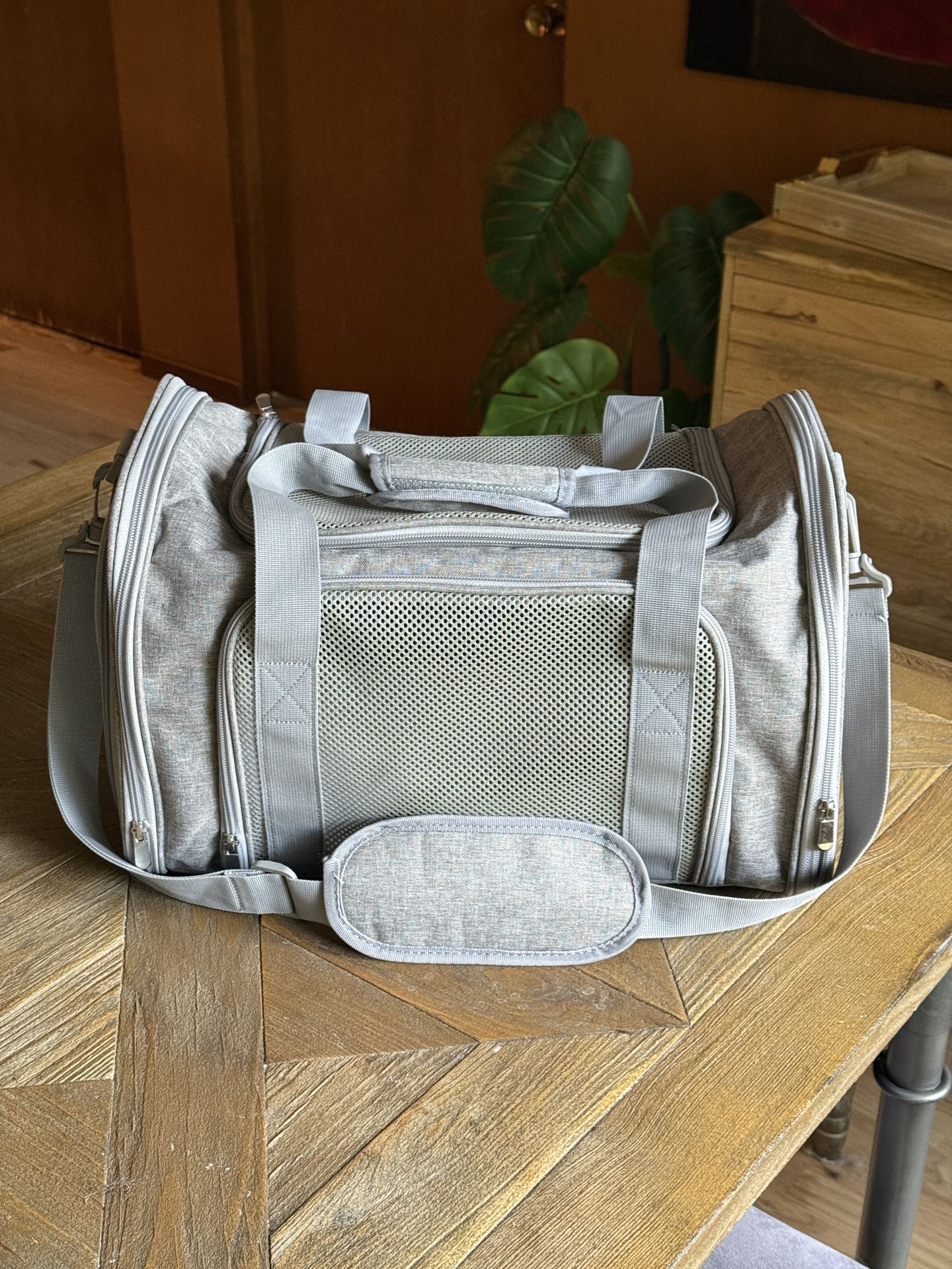 Cat, Dog, Pet Carrier