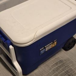 36 Litre COOLER