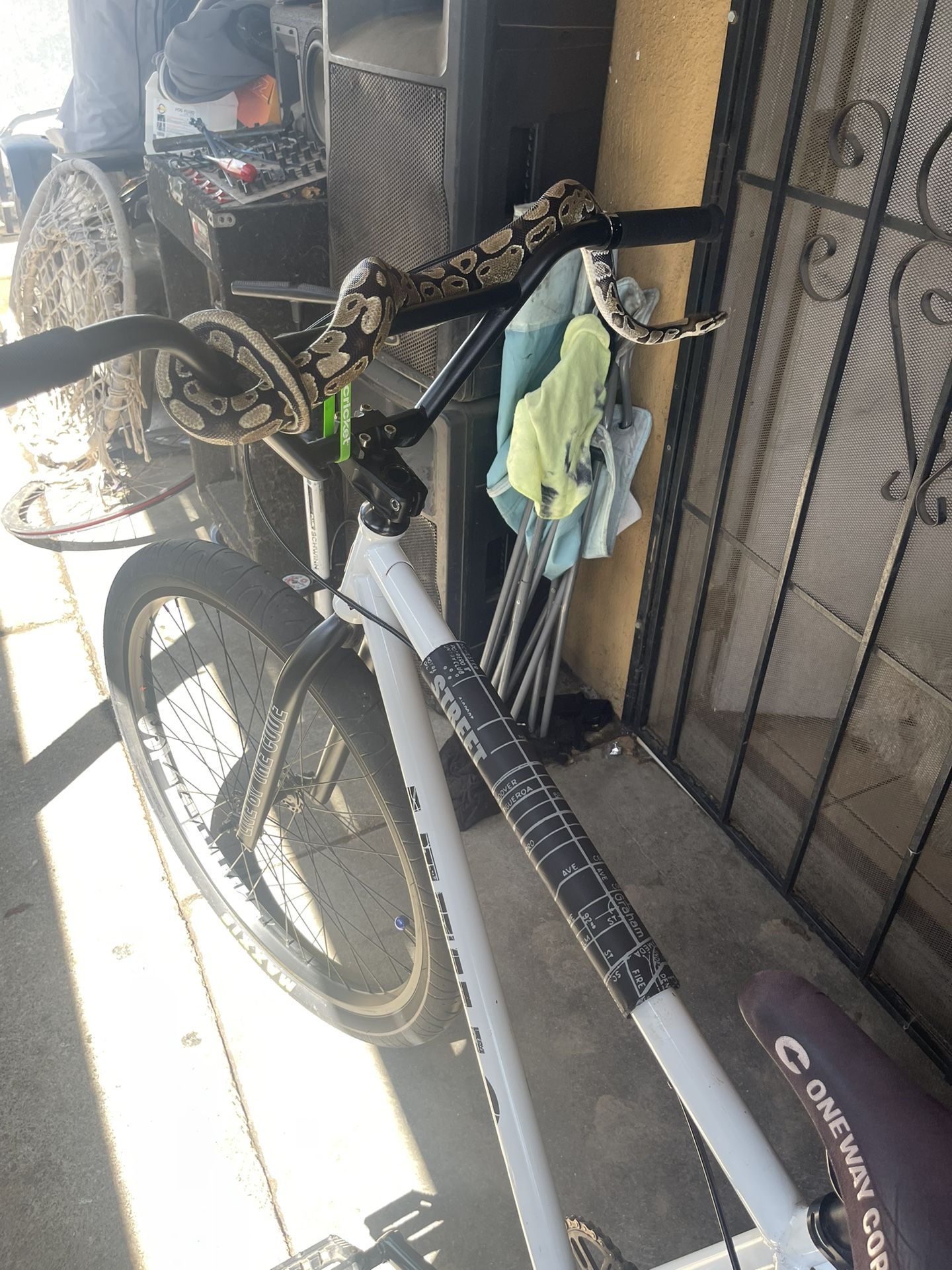 Street Bike NOT FOR SELL