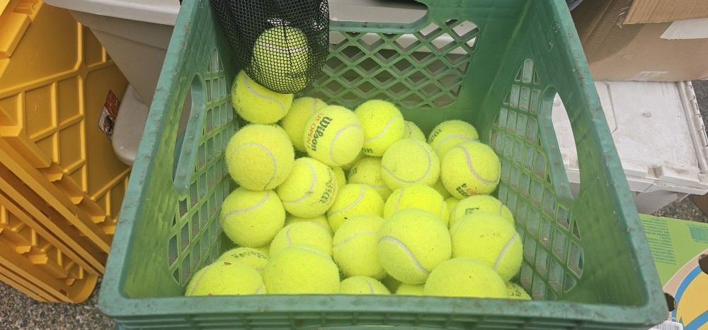 Tennis Balls/Practice Or Fetch