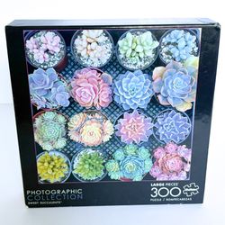 NEW Buffalo Photographic Collection Sweet Succulents 300 Piece Puzzle | Plant Lover Nature Gardening Rainbow Colorful Pastel