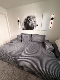 Gray Sofa Bed – Like New