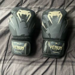 Pair Of 10 Oz venum Boxing Gloves