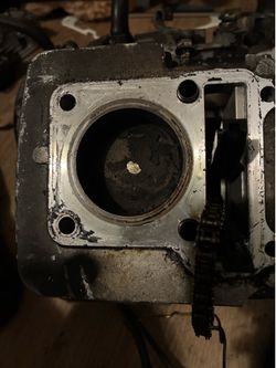 Predator 224cc