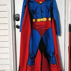 Northwest Adult Sized Superman Throw Blanket With Sleeve's