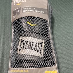 Rare Supreme Everlast Boxing Gloves for Sale in San Jose, CA - OfferUp