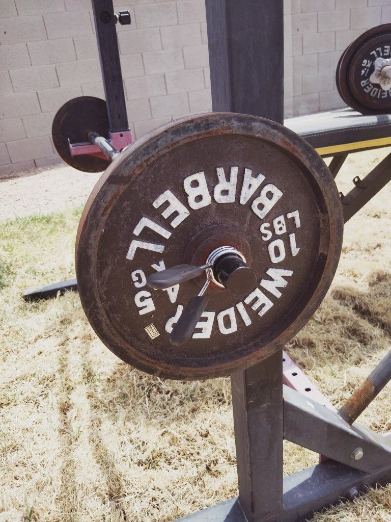 132lbs Steel Weights Weight Bench Bench Press Weifht Stand And 2 Bar Bells And 2 Dumbells