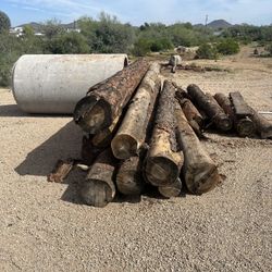 Ponderosa Pine Logs