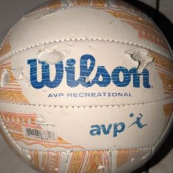 Wilson Volleyball