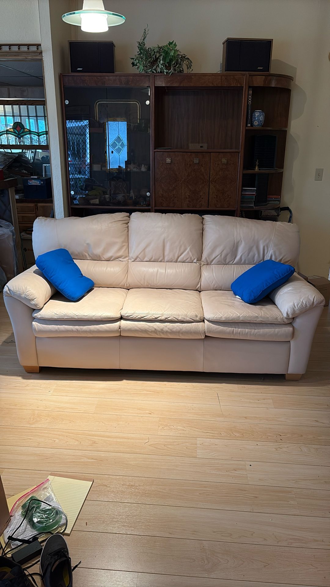 High Quality Leather Sofa Clean from a home that was just tented for termites and other pests