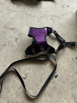 Dog Harness