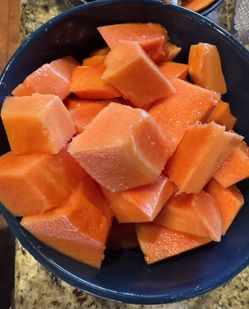 Sweet Hawaii Papaya Tree 