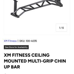 Pull Up Bar ( Multi Grip, Ceiling Mount )