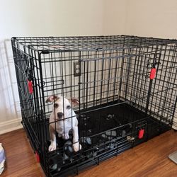 dog cage